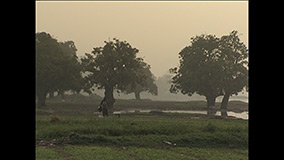 Burkinbila